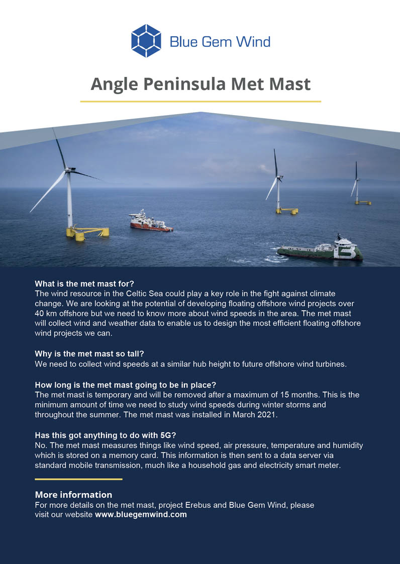 Blue Gem Newsletter Autumn 2020 front page
